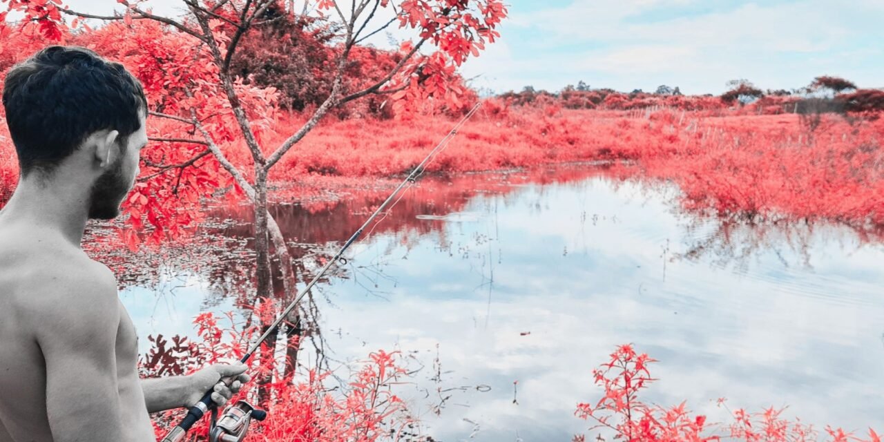 Natureza, Tempo e Riqueza